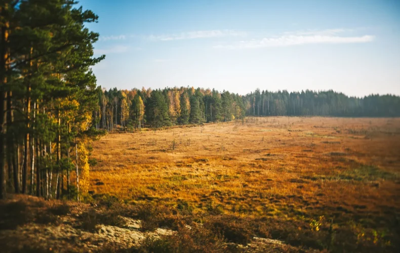 cepkeliu-raistas-galima-perduoti-visiems
