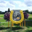 rides-with-horses-pack-011