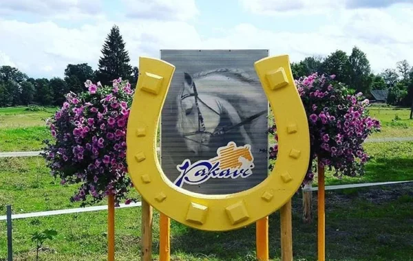 rides-with-horses-pack-011