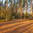 paukjerves-ezera-dabas-taka-un-telsu-vieta-006
