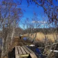 penijoe-putnu-verosanas-tornis-004