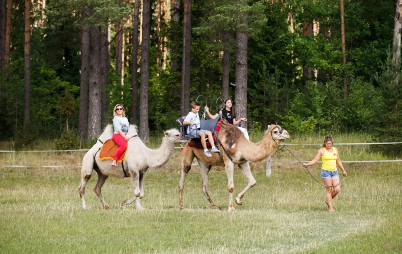 raksi-zoo-001