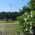 vecumnieku-vecais-ezers-003