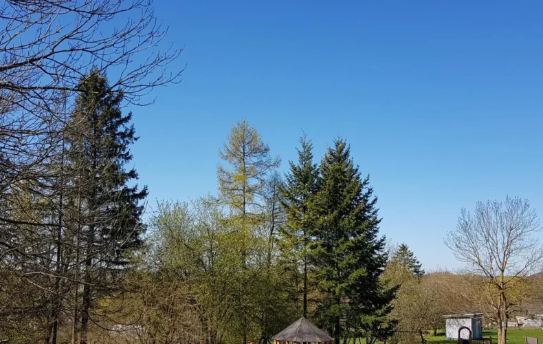 zilie-kalni-006