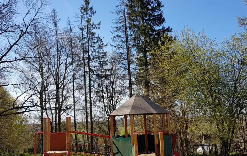 zilie-kalni-008