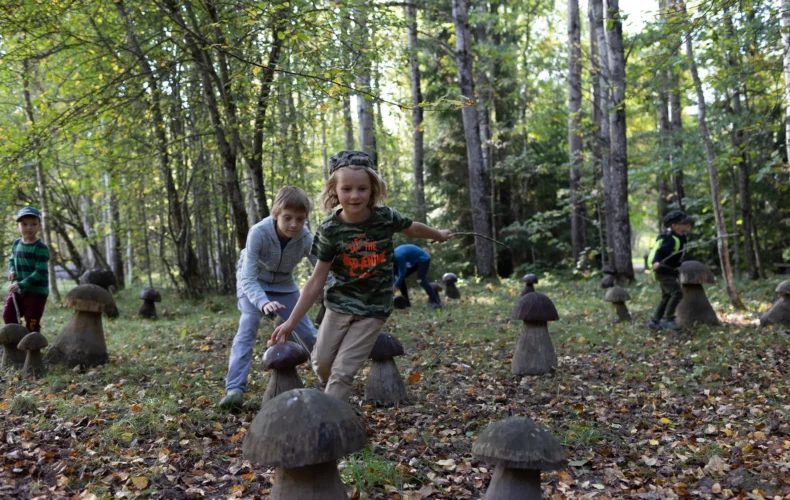 vienkocu-parks-kokamatniecibas-muzejs-009