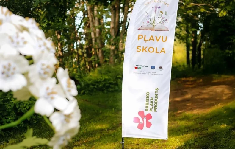 plaukimo-mokykla-004