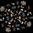 rsu-anatomijos-muziejus-005